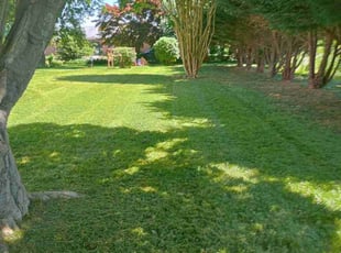 Jason P.'s Lawn Care service result