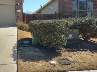 Bush Trimming by Geovanni Vargas for Allison H. in Austin, TX