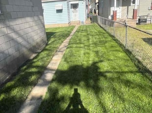 Coni W.'s Lawn Care service result