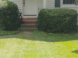 Tommy Z.'s Bush Trimming service result