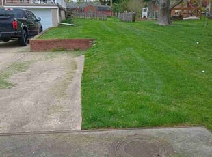 Jacqueline D.'s Lawn Mowing Service service result