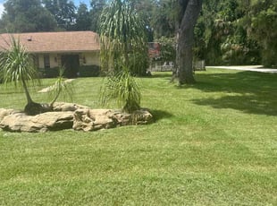 Megan S.'s Lawn Mowing service result
