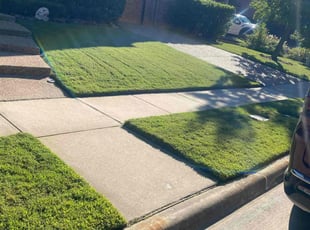 Stephen H.'s Lawn Care service result