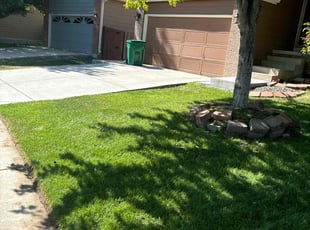 Andrew R.'s Lawn Mowing Service service result