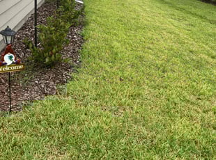Rich J.'s Lawn Maintenance service result