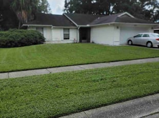 Laura D.'s Lawn Service service result