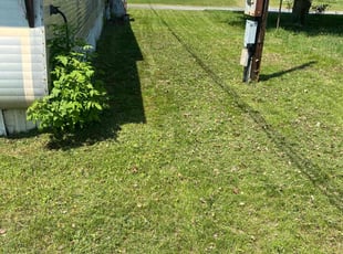 Steven G.'s Lawn Maintenance service result