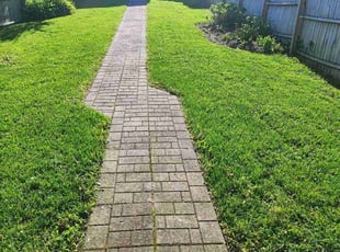 Theodore H.'s Lawn Care service result