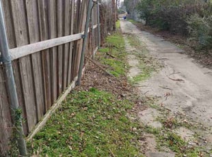 Bush Trimming by Valente Alvarado for Karen C. in Farmers Branch, TX