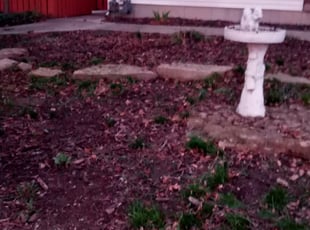 Leaf Removal by Jeffery Hartupee for Angela M. in Kansas City, MO
