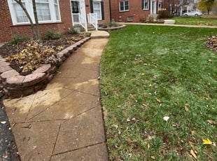 Leaf Removal by Christopher Bamberger for Shoshana W. in University City, MO