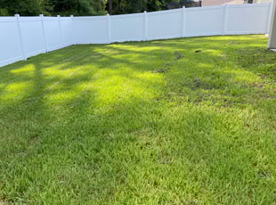 Tina H.'s Lawn Care service result