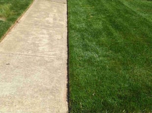 Sharon M.'s Lawn Service service result