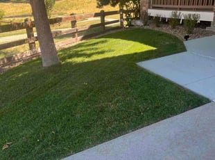 Jennifer S.'s Lawn Care service result
