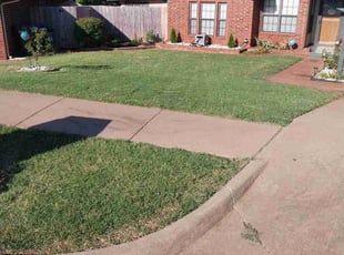 Ken T.'s Yard Cutting service result