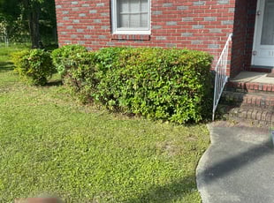 Bush Trimming by William Sellers for John A. in North Charleston, SC