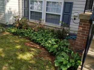 Ronald L.'s Bush Trimming service result