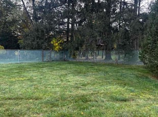 Leaf Removal by Josh Brockett for Emily H. in Fayetteville, NY