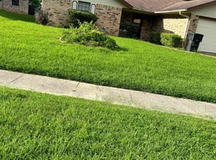 Carita H.'s Lawn Service service result
