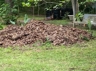 Leaf Removal by Mekeila Morris for Ahmad A. in Walker, LA