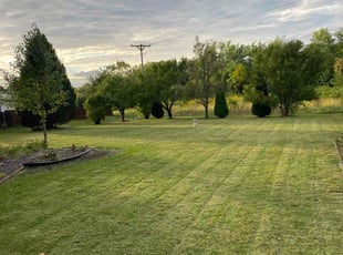 Joseph S.'s Grass Cutting service result