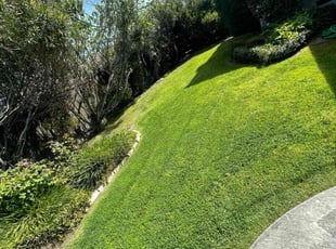 Linda G.'s Grass Cutting service result