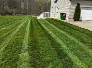 Jen P.'s Grass Cutting service result