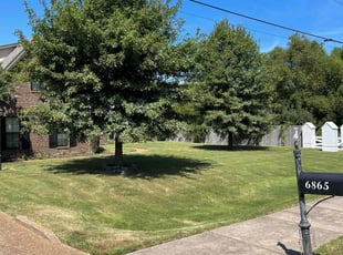 Leah M.'s Lawn Mowing service result