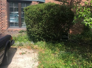 Bush Trimming by Demetrius Bennett Jr for Nunzio T. in Lakewood, OH