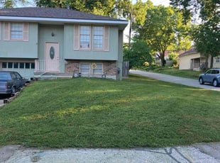 Dan S.'s Lawn Mowing Service service result