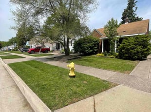 Dennis K.'s Lawn Mowing service result