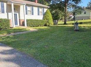 Wade J.'s Lawn Mowing service result
