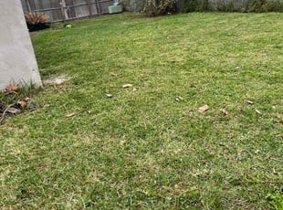 Leaf Removal by Ethan Perry for Lori S. in Port Richey, FL