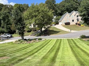 Daniel E.'s Lawn Mowing service result