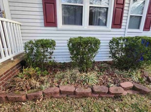 Bush Trimming by Jay M for Alexei M. in Norfolk, VA