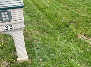 Allan R.'s Lawn Care service result