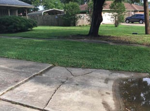 Emmett W.'s Lawn Mowing Service service result
