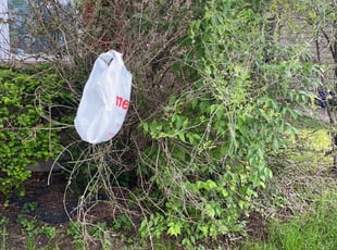 Cleanups by Jared Clapsaddle for Jon P. in Trenton, OH