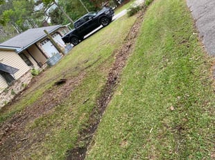 Leaf Removal by Christopher Fordham for Shelly S. in Goose Creek, SC
