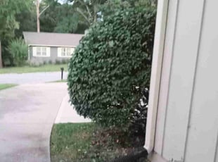 Bush Trimming by Nicole Gorman for Christian B. in Kansas City, KS