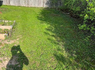 Cleanups by Michael Williams for Heather S. in Brown Deer, WI