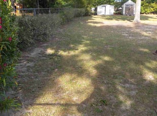 Leaf Removal by Tina Herman for Ray T. in Hephzibah, GA