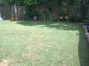 MICHAEL H.'s Lawn Care service result
