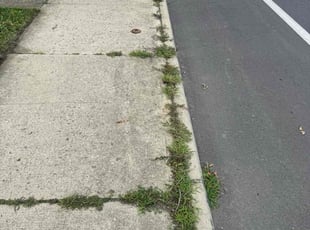 Jennifer C.'s Weeding service result