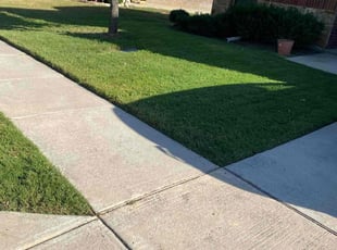 Lisa B.'s Lawn Mowing service result