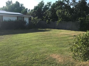 Lucretia W.'s Grass Cutting service result