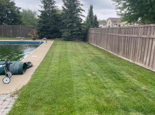 David S.'s Lawn Service service result
