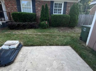 Bush Trimming by Beau Pais for Amy C. in Greensboro, NC