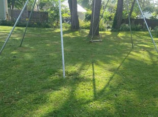Chandra A.'s Grass Cutting service result