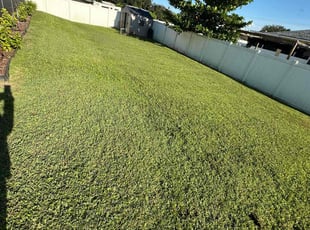 Kent T.'s Yard Cutting service result